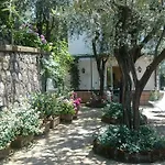 L'ulivina *