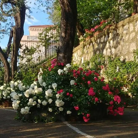 Villa L'ulivina *