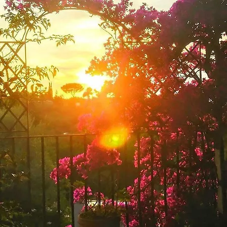 Villa L'ulivina *