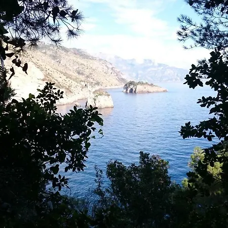 L'ulivina Villa Sorrento