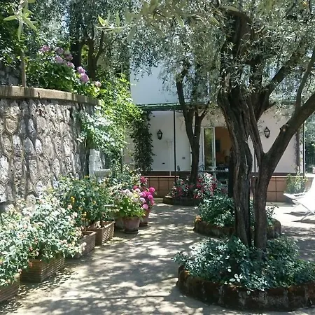 L'ulivina *