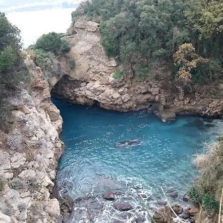 L'ulivina * Sorrente