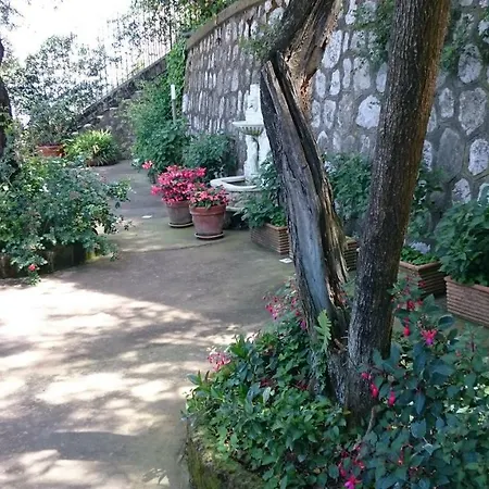 L'ulivina Villa Sorrente